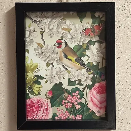 Casa Di Claudia Arnasco