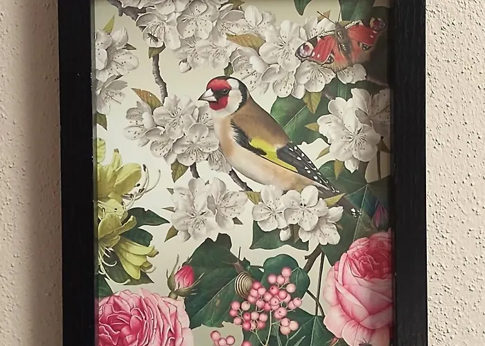 Casa Di Claudia Arnasco